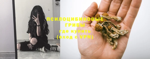 ALPHA PVP Зеленокумск