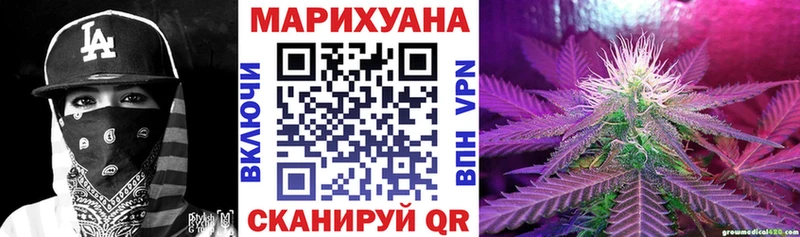 Конопля SATIVA & INDICA  Купить закладки  Сокол 